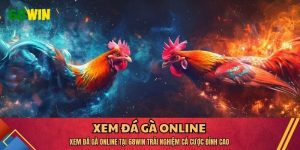 xem đá gà online