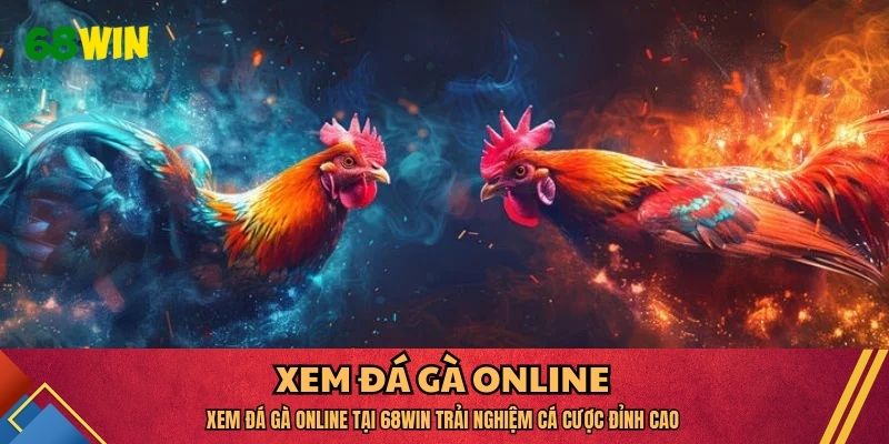 xem đá gà online
